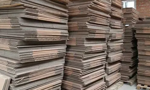 西寧黄瓜网站在线观看